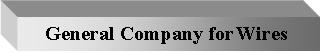 Text Box: General Company for Wires 