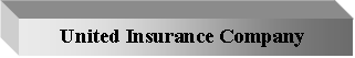 Text Box: United Insurance Company 